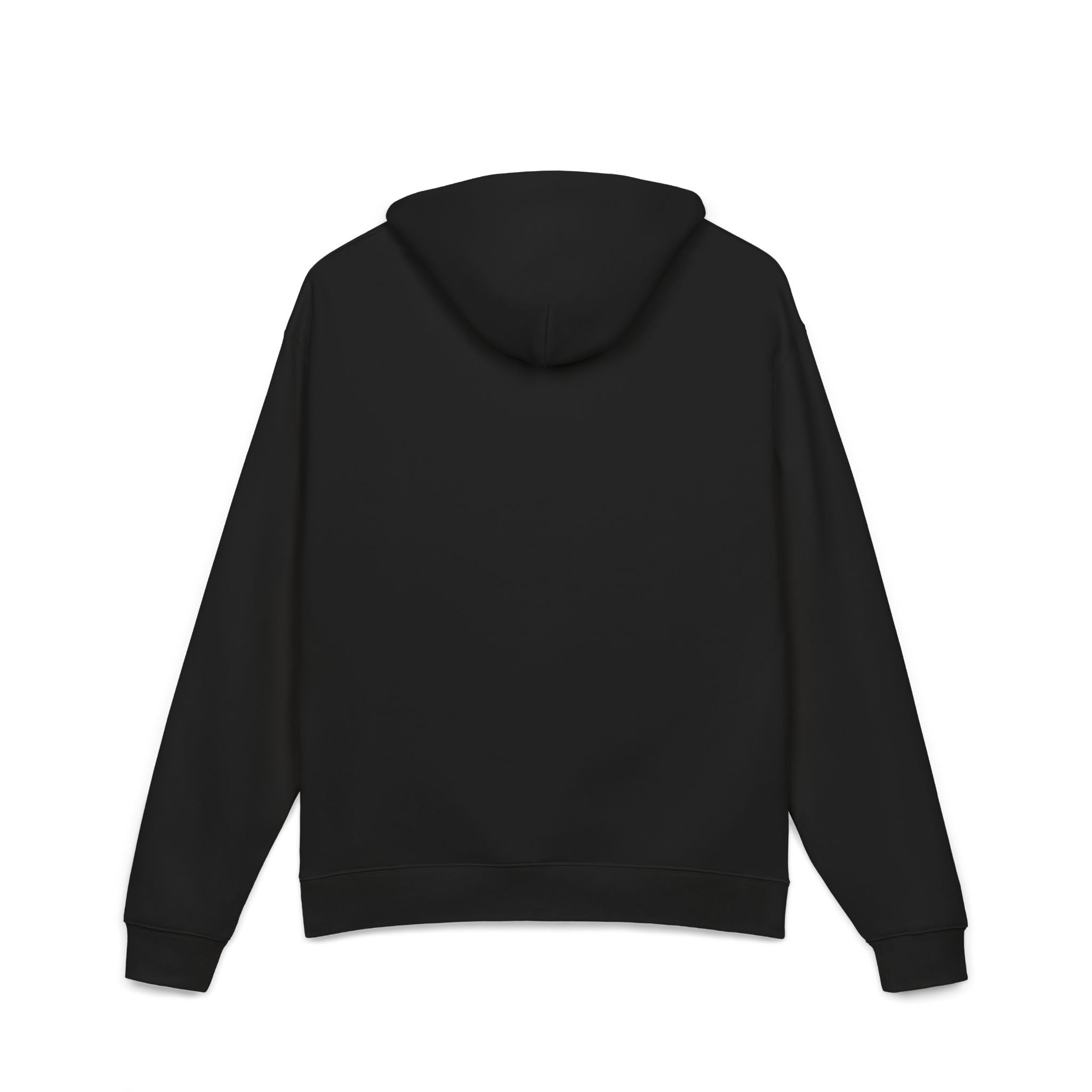 Puffin Rowboat Hoodie — Cute Nautical Puffin Graphic Hoodie
